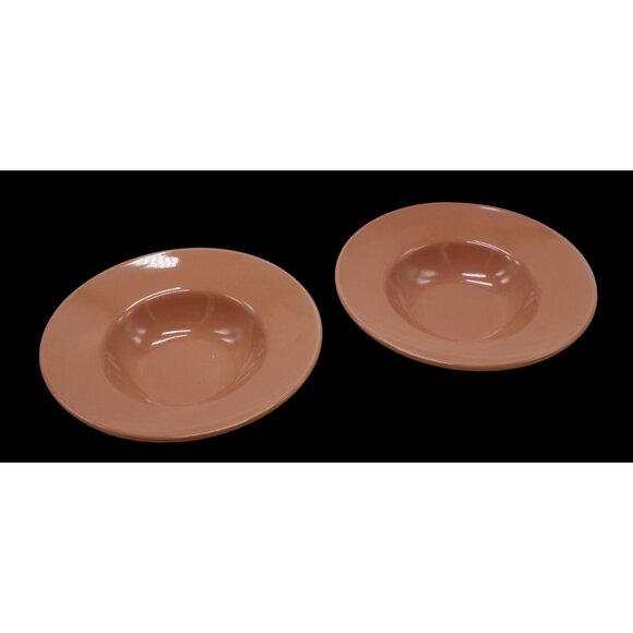 VHTF Pier 1 Imports Nutmeg Spice Wide Rim 9" Soup Salad Bowls Set-4 *RARE EUC* - Picture 3 of 10